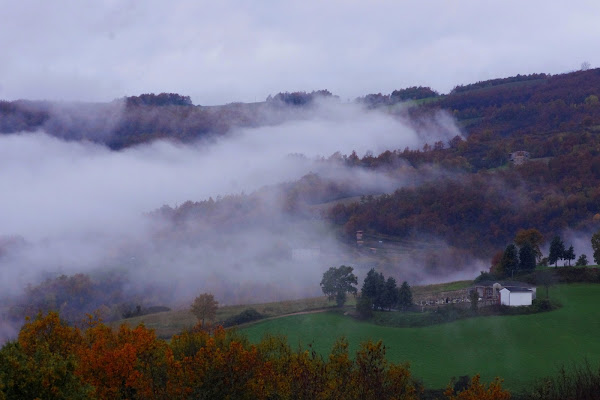 la nebbia agli irti colli... di ombasini