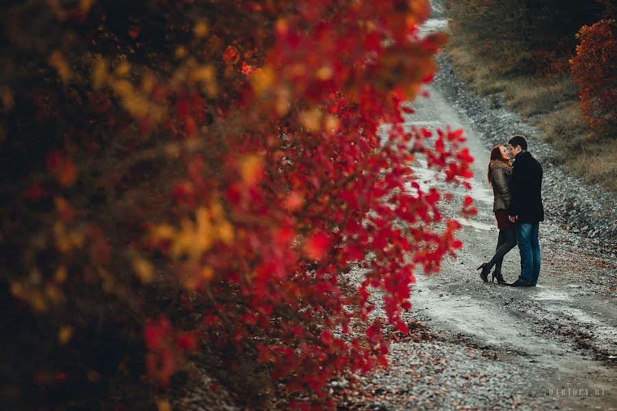 Wedding photographer Aleksandra Erofeeva (daridey). Photo of 26 October 2014