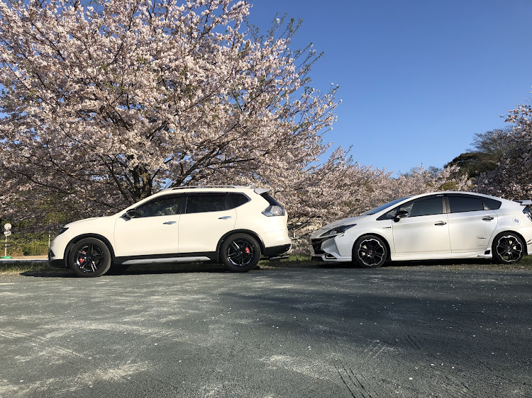 プリウスのエクストレイル・プリウス・ドライブ・桜に関するカスタム事例の投稿画像2枚目