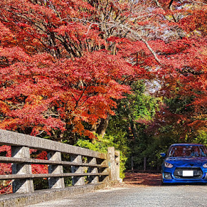 スイフトスポーツ ZC33S