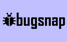 BugSnap for OnTime small promo image