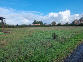 terrain à Petosse (85)