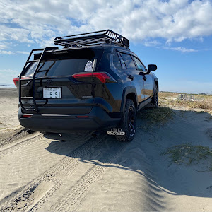 RAV4 MXAA54