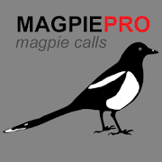 Magpie Calls for Hunting UK 1.0 Icon