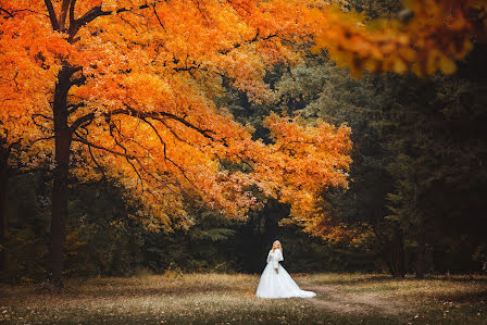 Wedding photographer Tatyana Kozhukhar (tmkozhukhar). Photo of 24 February 2016