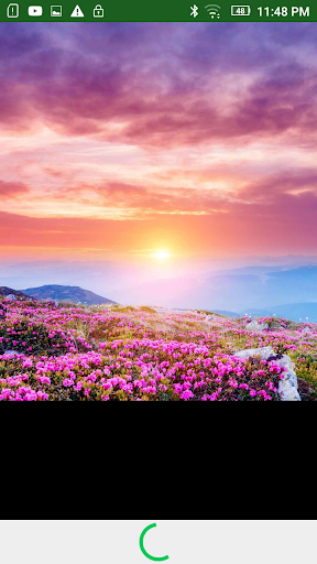 Wallpaper 4k Android Nature