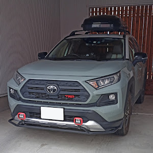 RAV4 MXAA54