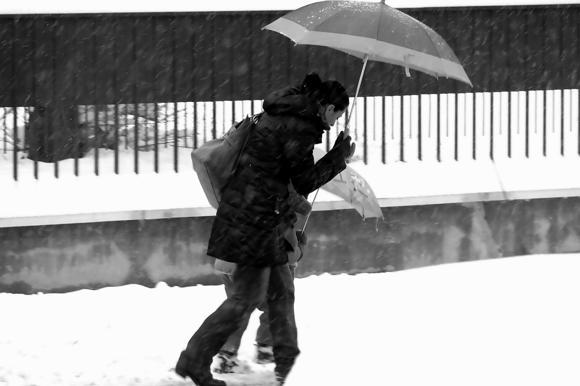 Nella bufera di neve di acquario