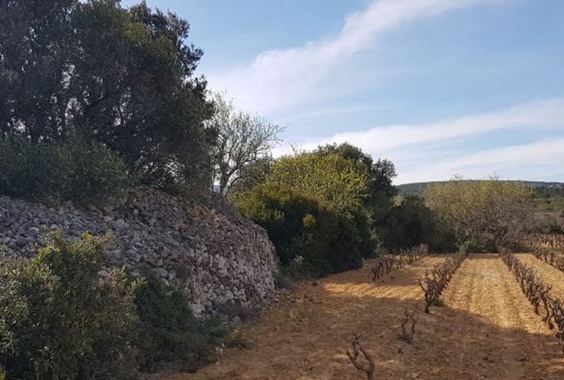  Vente Terrain + Maison - Terrain : 400m² - Maison : 90m² à Caves (11510) 