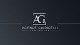 AGENCE GIUDICELLI IMMOBILIER