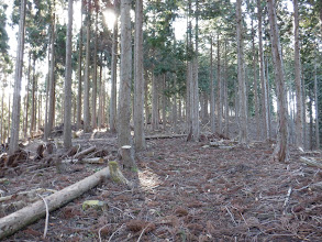 尾根沿いの古い道を進む