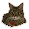 Item logo image for Tabby Hoarder