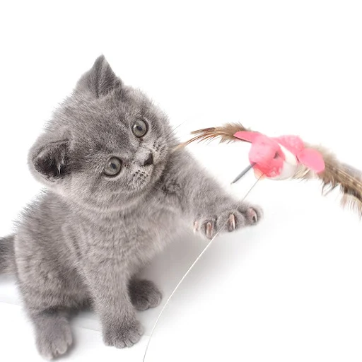 Automatic Electric Rotating Cat Toy Colorful Butterfly Bird Animal Shape Plastic Funny Pet Dog Kitten Interactive Traini