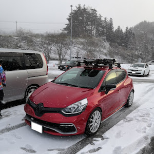 ルーテシア RM5M