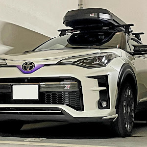 C-HR ZYX11