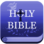 Cover Image of Download Modern English Bible (MEV) 7 APK