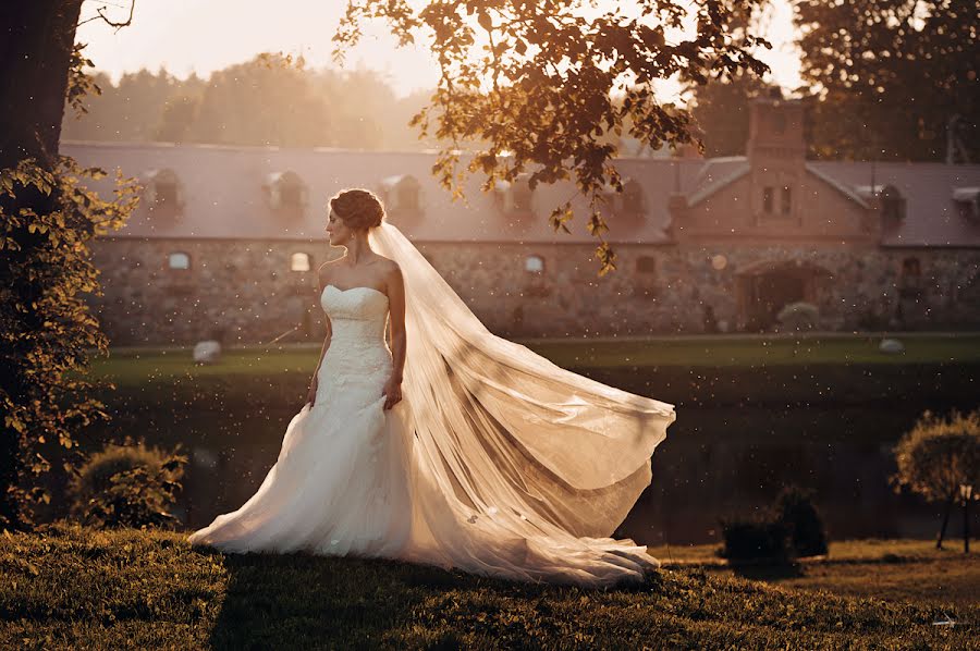 Fotografo di matrimoni Aleksandr Lobach (lobach). Foto del 27 ottobre 2014