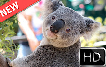 Koalas HD new free tab theme small promo image