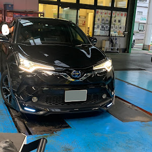 C-HR ZYX10