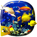 Aquarium Video Live Wallpaper icon