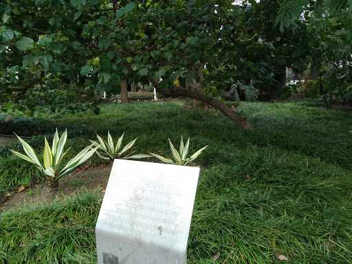 Paseo del Parque de Malaga