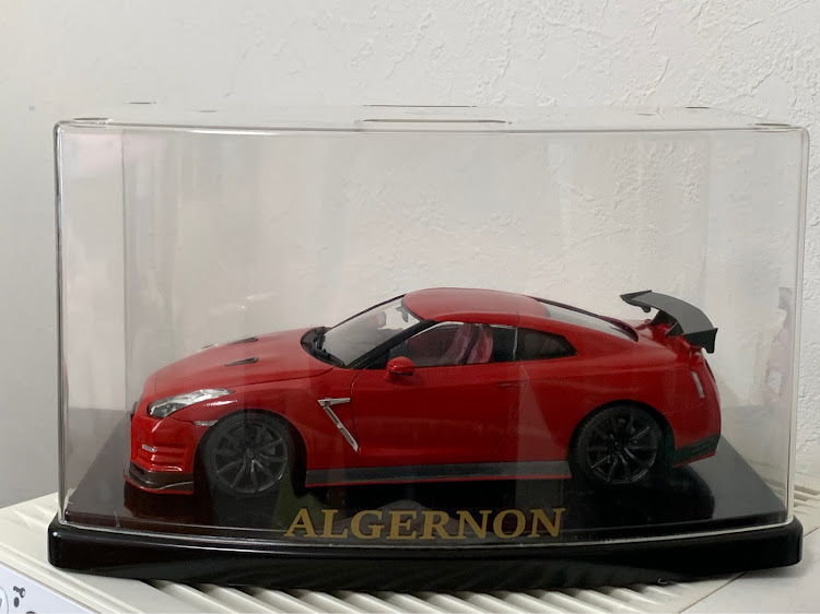 NISSAN GT-Rの世界に一つだけのプラモ・家宝・納車・アルジャーノン・プライスレスなプレゼントに関するカスタム事例の投稿画像30枚目