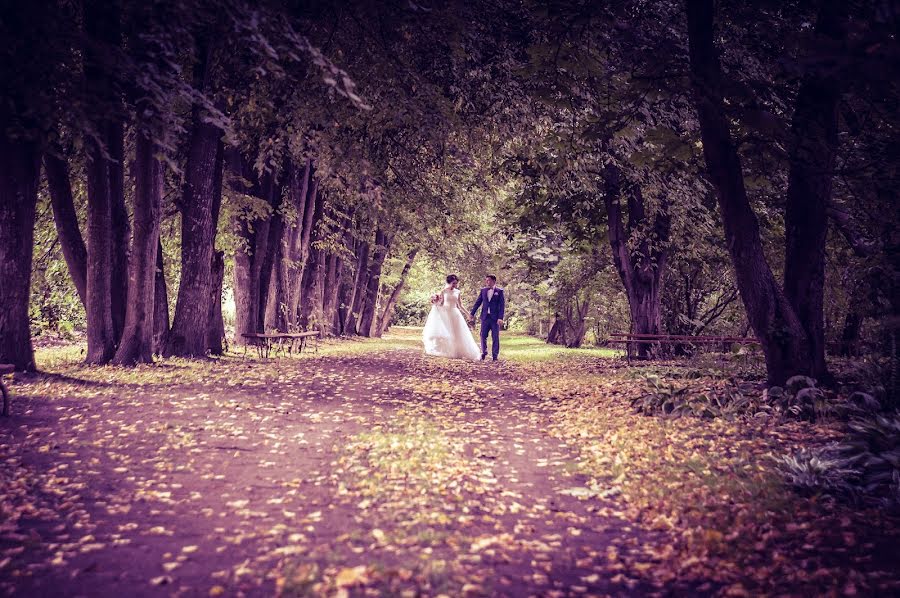 Vestuvių fotografas Svetlana Trifonova (trifoto). Nuotrauka 2016 sausio 20