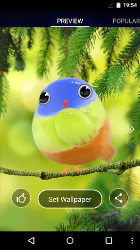 Cute Bird Live Wallpaper