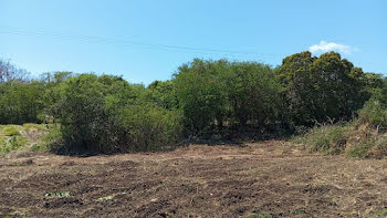 terrain à batir à Anse bertrand (971)