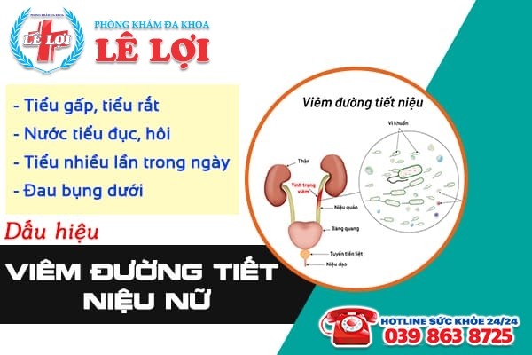 Viêm đường tiết niệu ở nữ