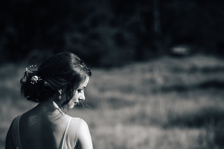 Photographe de mariage Oldřich Hadvičák (allinfoto). Photo du 6 janvier 2019