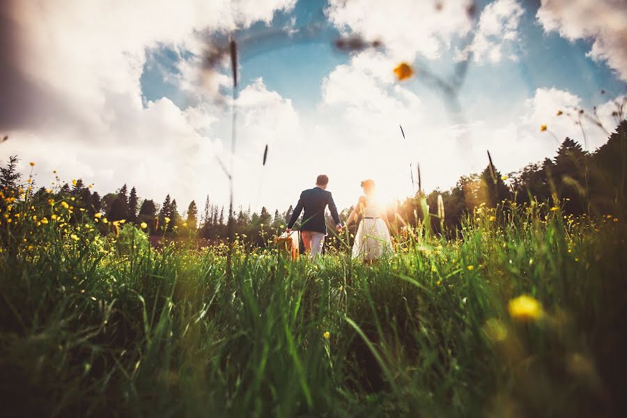 Photographe de mariage Slava Semenov (ctapocta). Photo du 20 juin 2014