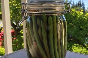Dill Pickled Green Beans (Dilly Beans)