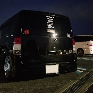 bB NCP31