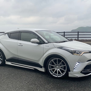 C-HR ZYX10