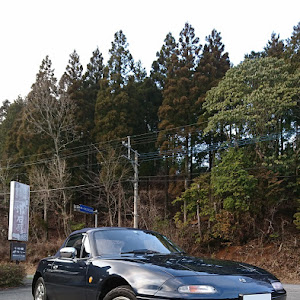 ロードスター NA8C
