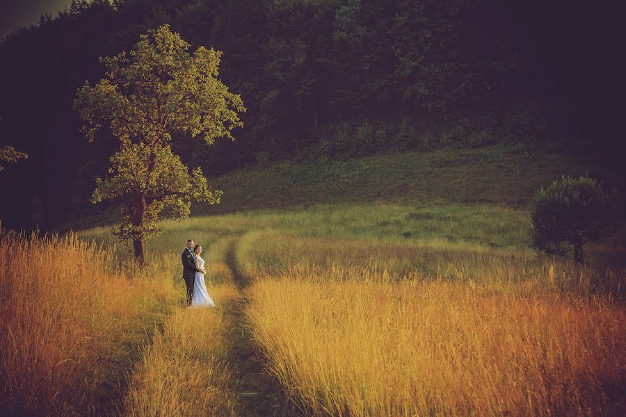 Fotógrafo de casamento Magda Brańka (magdabranka). Foto de 18 de novembro 2015