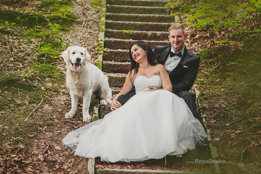 Fotografo di matrimoni Izabela Rosa (izabelarosa). Foto del 25 febbraio 2020