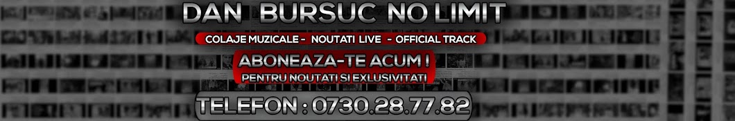 Dan Bursuc - No Limit Banner