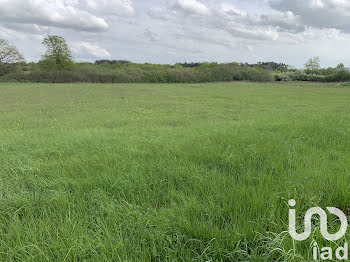 terrain à Romorantin-Lanthenay (41)