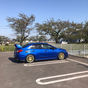 WRX S4 VAG