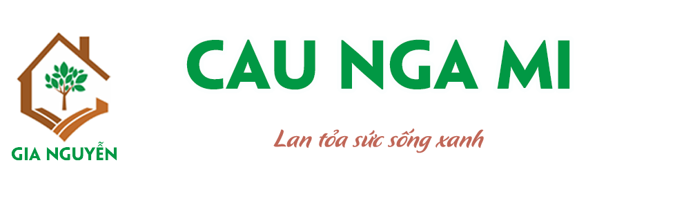 Cây Sầu Riêng Chuồng Bò