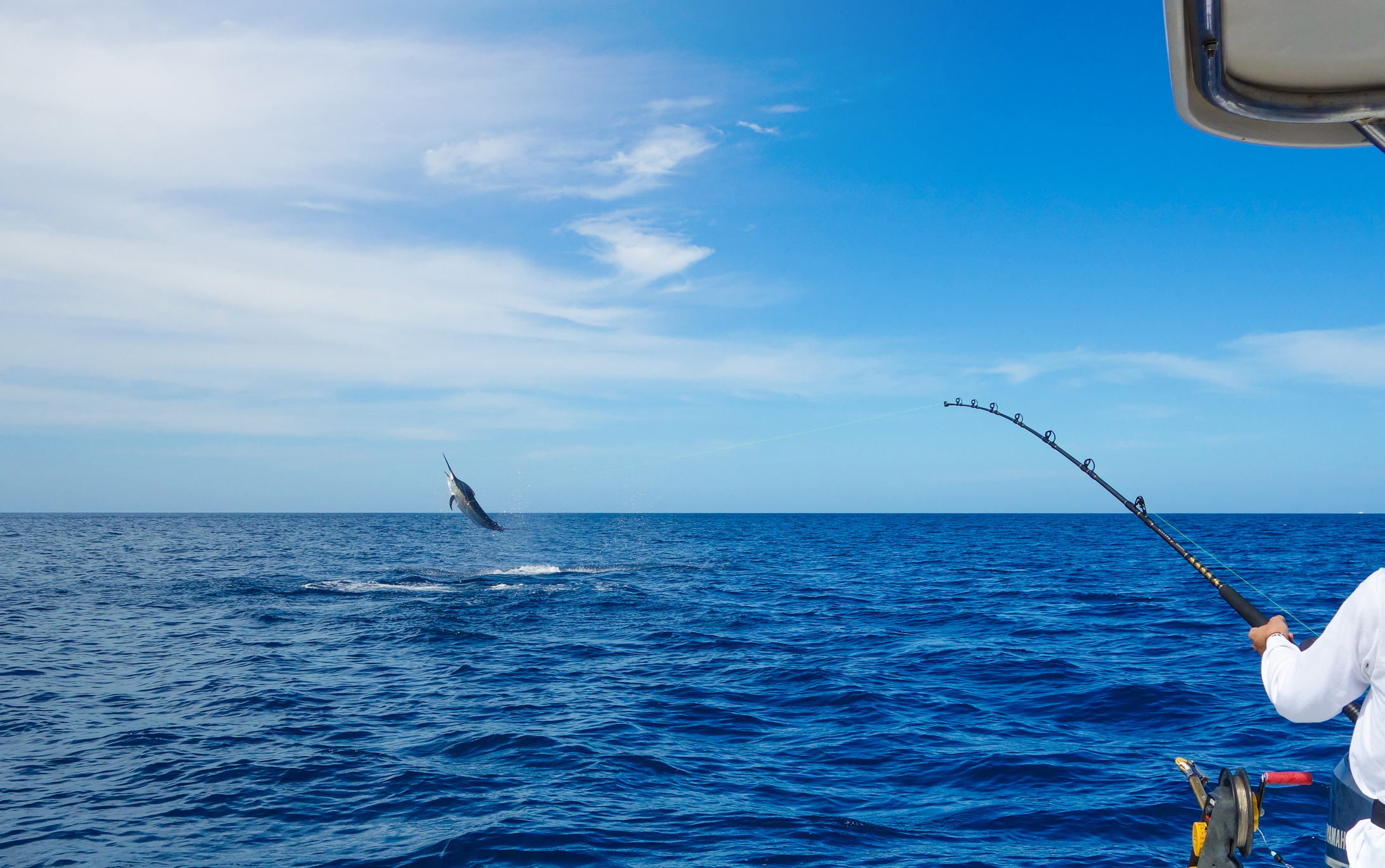 10 Most Unique Deep-Sea Fishing Catches - Florida Sportsman