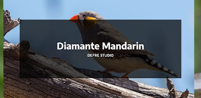 CS Diamantes Pipas – Apps no Google Play