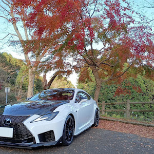 RC F USC10