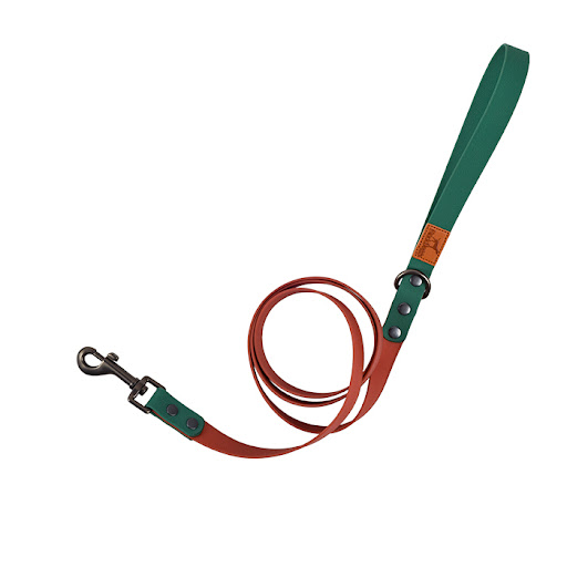 Title 3, Retro Dog Collar Traction Rope for safe and sty...