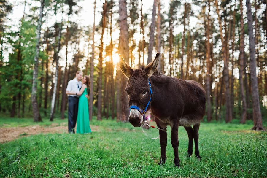 Bryllupsfotograf Yuliya Novikova (novikova). Foto fra november 3 2015