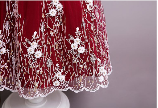 Title 6, Embroidered Little Flowers Girls Dress Princess...