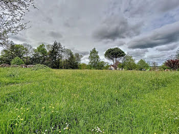 terrain à Chatres (24)