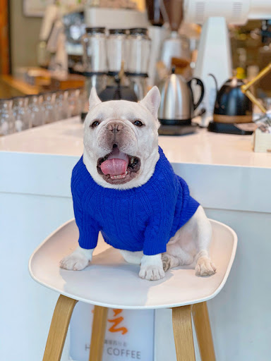 Title 9, Warm and Thick Winter Clothes for Bichon Corgi....